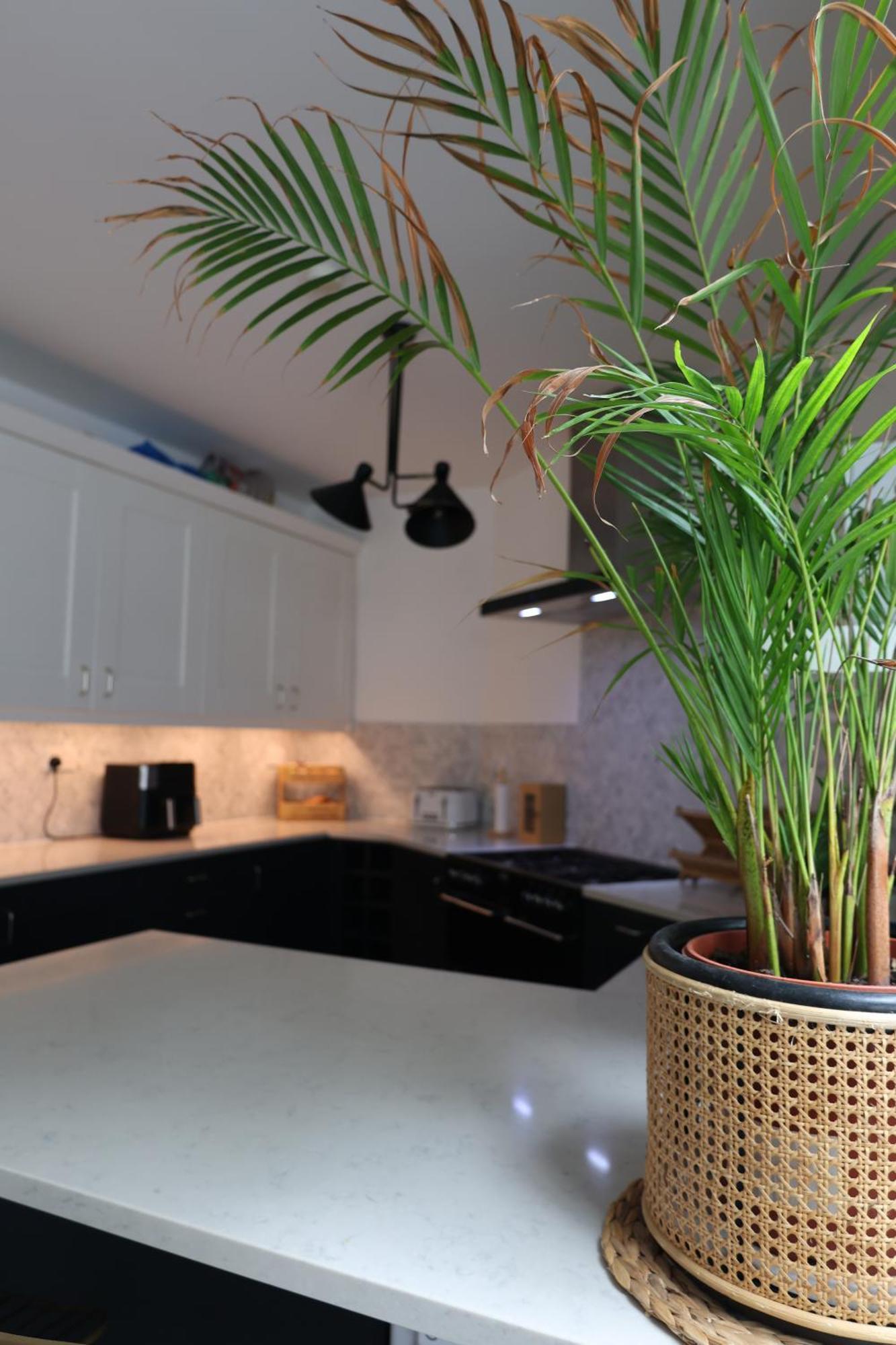 Stunning Walthamstow Village Flat *